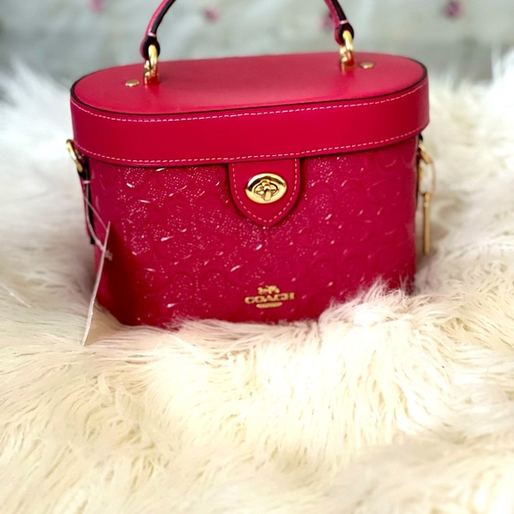 COACH bucket bag strawberry color  NWT - Picture 2 of 12